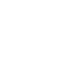 alert icon