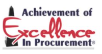 an achievement of excellence award logo with words only