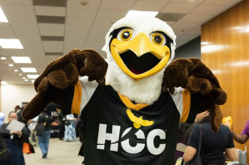 Swoop HCC mascot